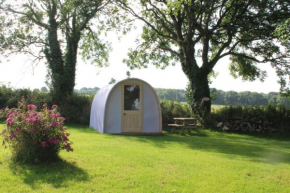 The Pod Garden